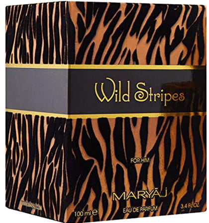 Maryaj Direction East Edp 100Ml For Men & Wild Stripes For Him Edp 100Ml Pack Of 2