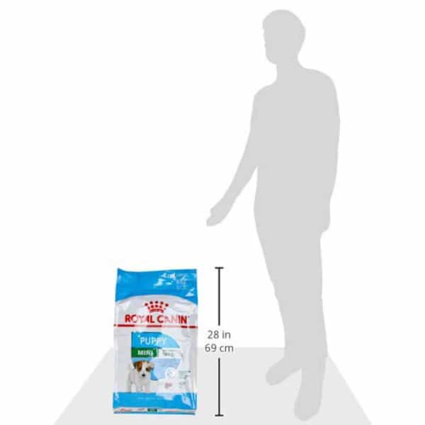 Royal Canin Mini Junior | 8Kg