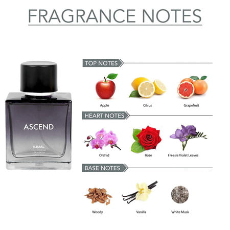 Ajmal Ascend Eau De Parfum Oriental Perfume 100ml Office Wear For Men & Women