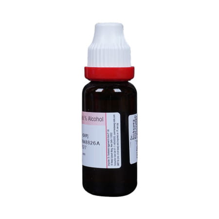 Dr. Reckeweg Acid Phosphoricum 1x (Q) (20ml)