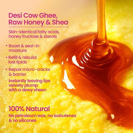 Nat Habit Pomegranate Rose Lip Balm For Dark Pigmented Lips | Lip Butter With Desi Ghee & Honey 10G