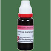 Dr. Reckeweg Carduus Mar Mother Tincture Q | For Liver Care 20 Ml
