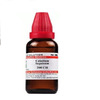 Dr. Willmar Schwabe India Caladium Seguinum 30Ml Dilution 200 Ch (Pack Of 2)