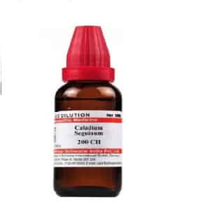 Dr. Willmar Schwabe India Caladium Seguinum 30ml Dilution 200 Ch (pack Of 2)