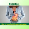 Cipzer Habb-E-Azaraqi100 Pills | Supports Joint Health| Mobility & Inflammation Relief