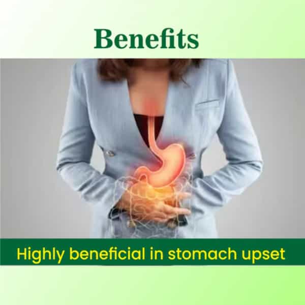 Cipzer Habb-E-Azaraqi100 Pills | Supports Joint Health| Mobility & Inflammation Relief