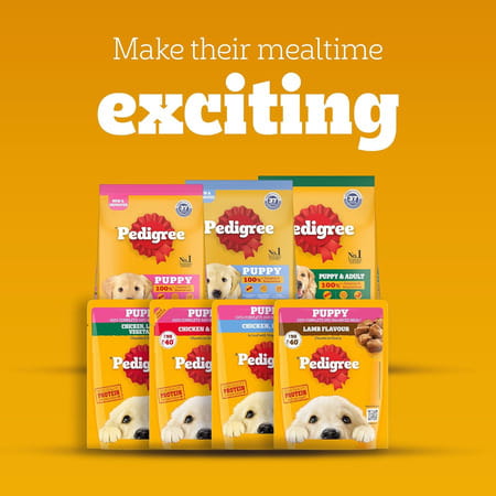 Pedigree Puppy Wet Dog Food | Chicken Liver In Loaf With Vegetables | 70 G (Pack Of 30)