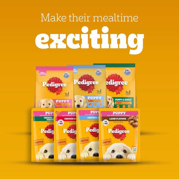 Pedigree Puppy Wet Dog Food | Chicken Liver In Loaf With Vegetables | 70 G (Pack Of 30)