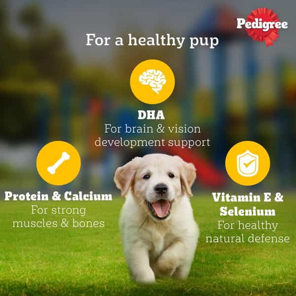 Pedigree Puppy Wet Dog Food | Chicken Liver In Loaf With Vegetables | 70 G (Pack Of 30)