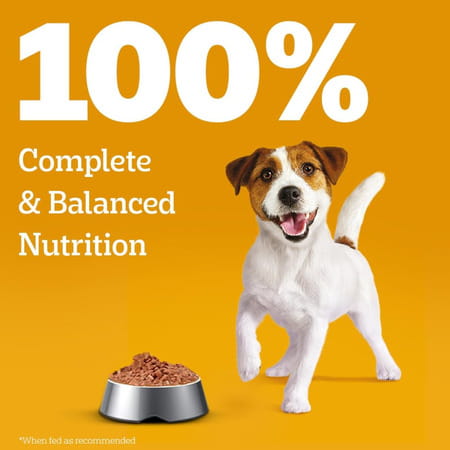 Pedigree Puppy Wet Dog Food | Chicken Liver In Loaf With Vegetables | 70 G (Pack Of 30)