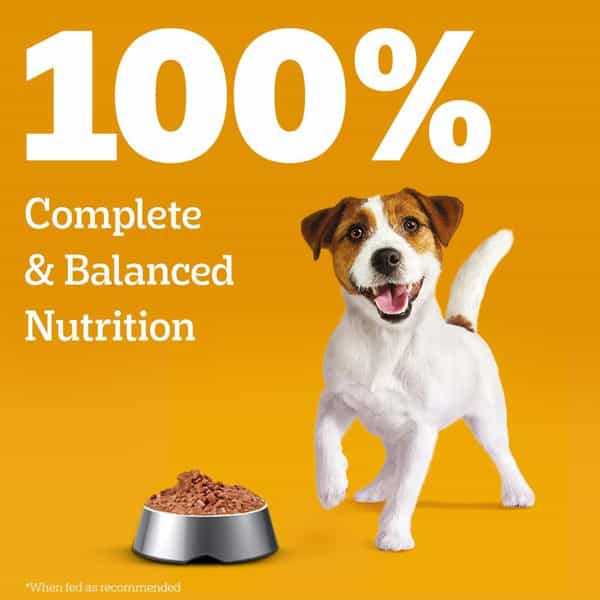 Pedigree Puppy Wet Dog Food | Chicken Liver In Loaf With Vegetables | 70 G (Pack Of 30)