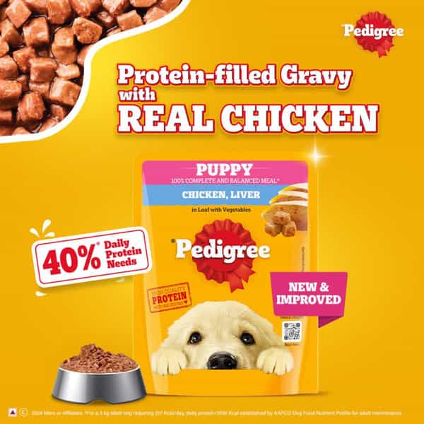 Pedigree Puppy Wet Dog Food | Chicken Liver In Loaf With Vegetables | 70 G (Pack Of 30)
