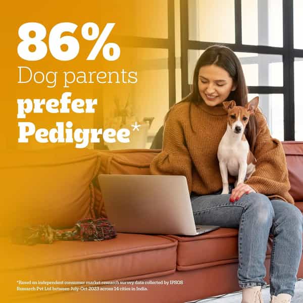 Pedigree Puppy Wet Dog Food | Chicken Liver In Loaf With Vegetables | 70 G (Pack Of 30)