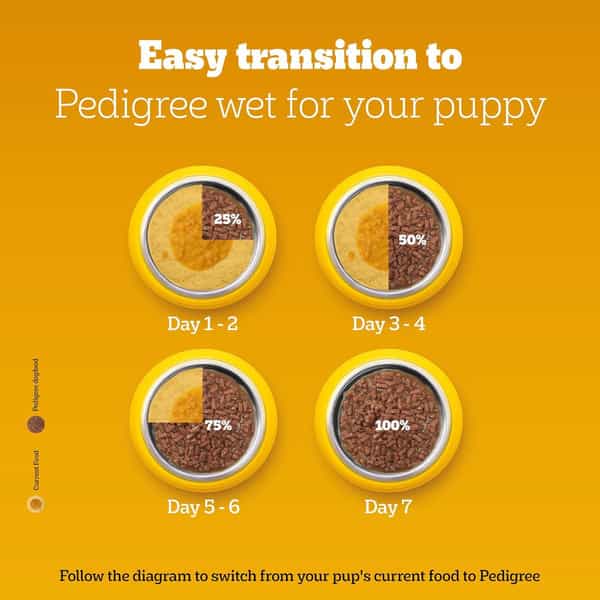 Pedigree Puppy Wet Dog Food | Chicken Liver In Loaf With Vegetables | 70 G (Pack Of 30)