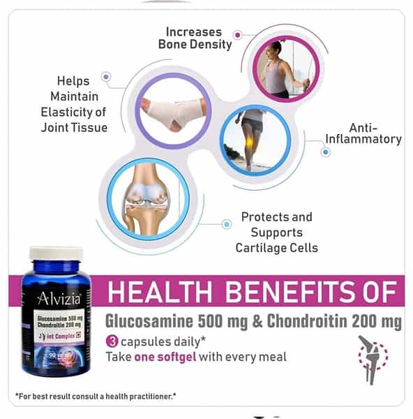 Alvizia Glucosamine 500Mg - Chondroitin - 200 Mg Joint Support Capsules Bottle Of 90
