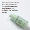 The Face Shop Tea Tree Pore Korean Ampoule Serum | Aha Bha Pha Hyaluronic Acid | Acne - 50Ml