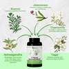 Herbs & Health - Stress Management|Relieves Stress Anxiety & Exhaustion|60 Capsules