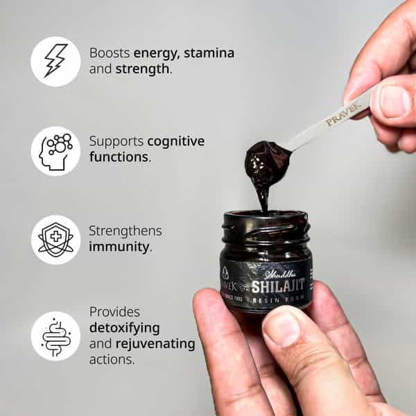 Pravek Shuddha Shilajit/Shilajeet Resin Form | 250Mg - 500 Mg Per Serving | 20G