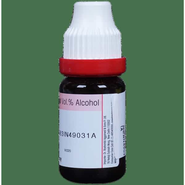 Dr. Reckeweg Graphites Dilution 200 Ch 11 Ml
