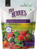 Nourishvitals Healthy Munching Combo Sports Mix Seeds Nuts+Mix Berries Scrumptious Mix (200Gm Each)