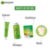 Garnier Color Naturals Creme Shade 3.16 Burgundy (70ml + 60g) Hair Color Box Of 130 Ml