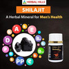 Herbal Hills Shilajit Forte Vitality Support 550Mg - 20 Capsules - (Pack Of 2)