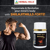 Herbal Hills Shilajit Forte Vitality Support 550Mg - 20 Capsules - (Pack Of 2)