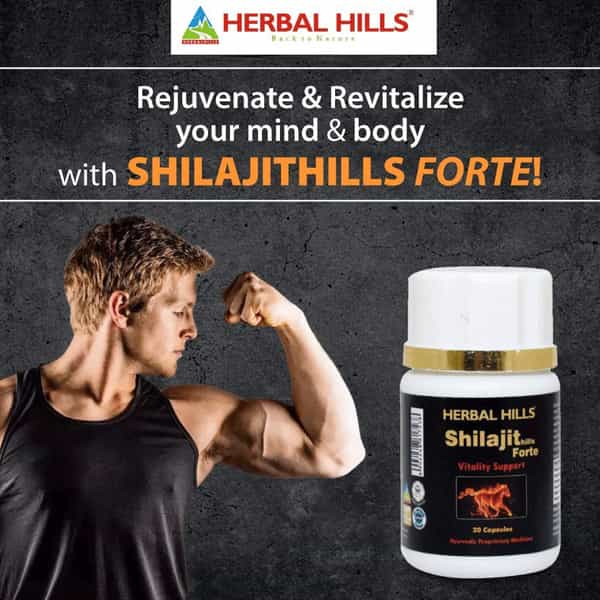 Herbal Hills Shilajit Forte Vitality Support 550Mg - 20 Capsules - (Pack Of 2)