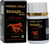 Herbal Hills Shilajit Forte Vitality Support 550Mg - 20 Capsules - (Pack Of 2)