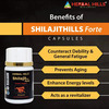 Herbal Hills Shilajit Forte Vitality Support 550Mg - 20 Capsules - (Pack Of 2)