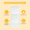 Laiqa Premium Ultrathin Panty Liners (20)