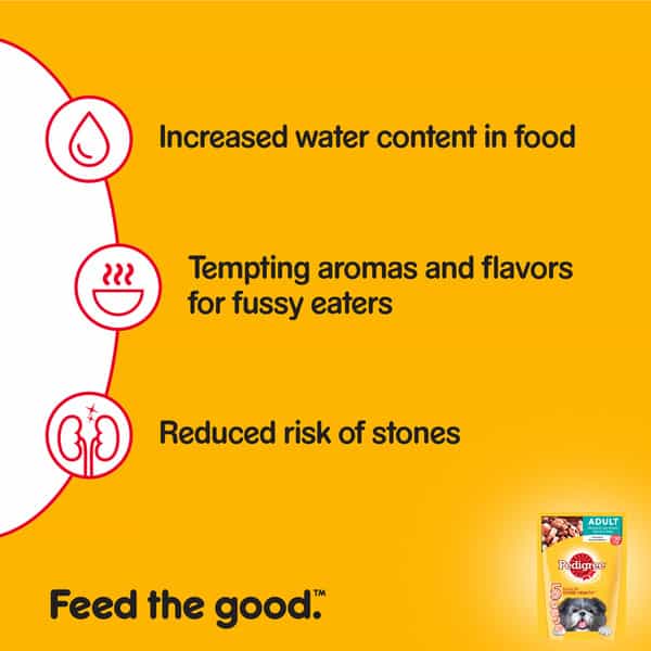 Pedigree Chicken & Liver Chunks Wet Adlt 80G