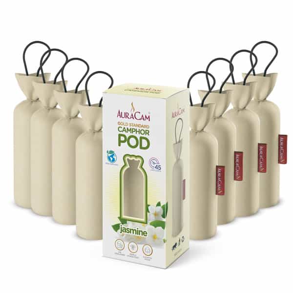 Auracam Gold Standard Camphor Pod Cone Jasmine- Set Of 8