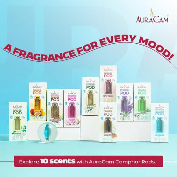 Auracam Gold Standard Camphor Pod Cone Jasmine- Set Of 8