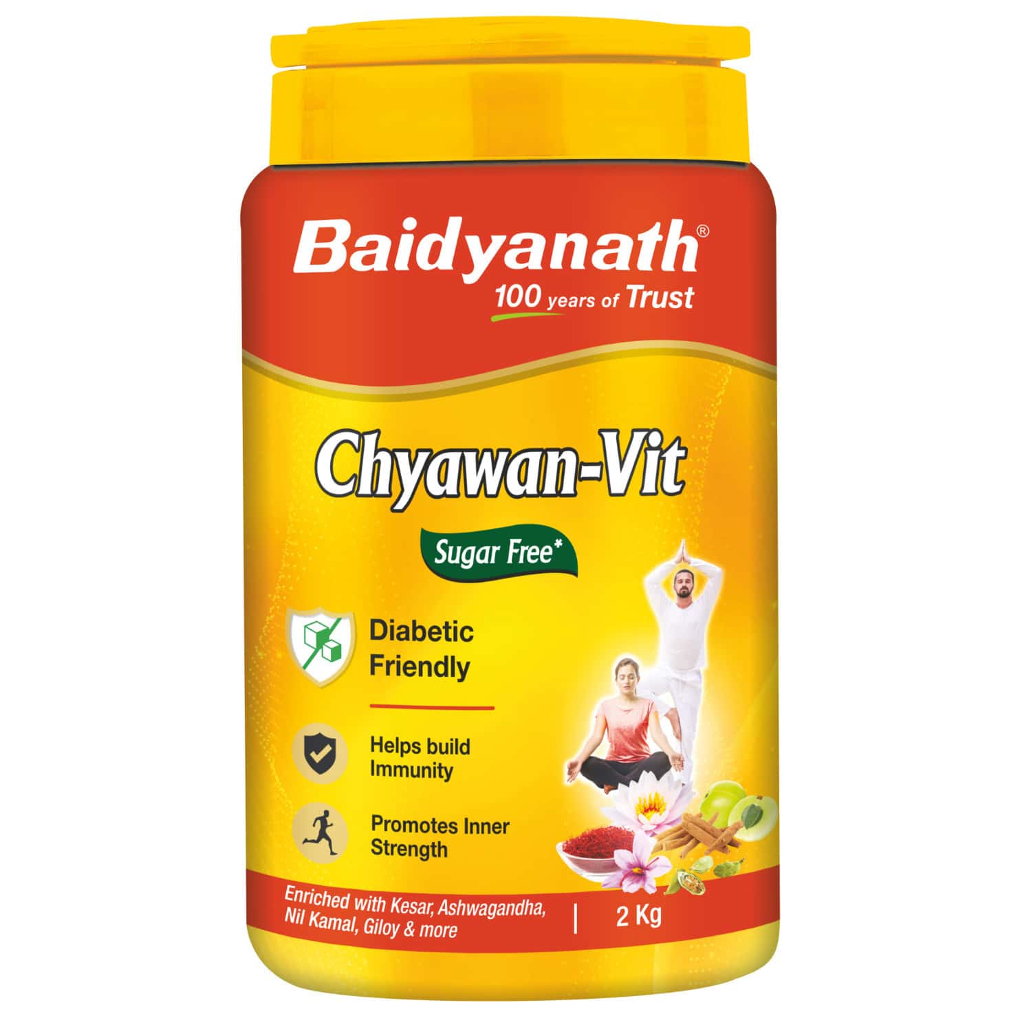 Baidyanath Sugarfree Chyawan Vit 2 Kg