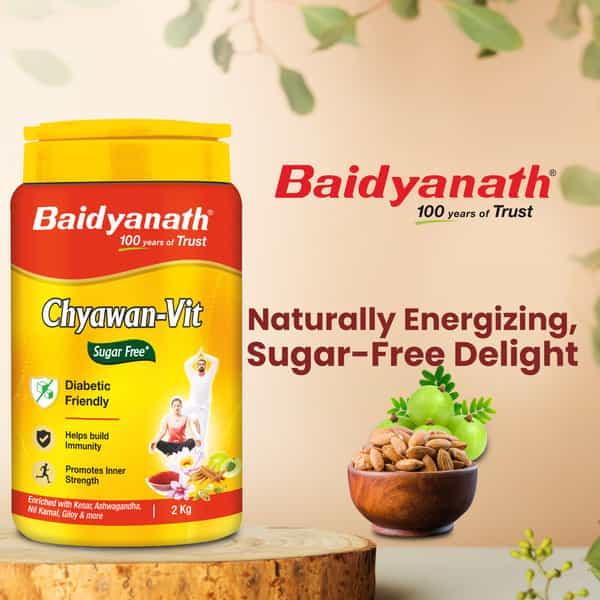 Baidyanath Ayurved Sugar Free Chyawan Vit 2Kg | Immunity Booster