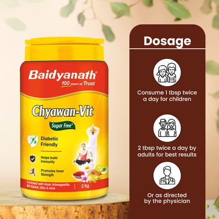 Baidyanath Sugarfree Chyawan Vit 2 Kg