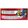 Zandu Pancharishta Ayurvedic Digestive Tonic Bottle Of 450 Ml + Free Zandu Nityam Vati Worth 10