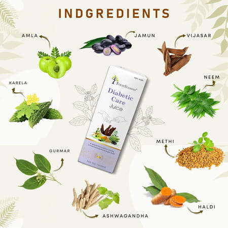 Four Seasons Diabetic Care Juice 1L | Manage Blood Sugar | Neem | Karela | Jamun | Amla 11+ Herbs