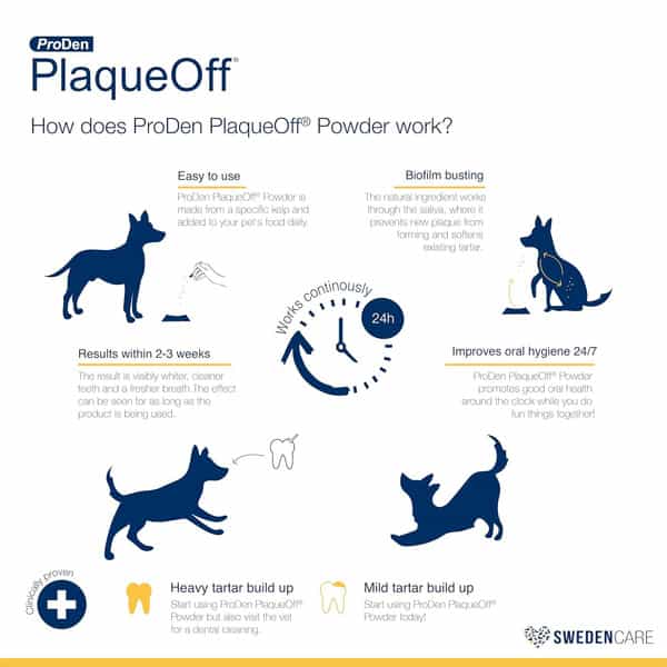 Proden Plaqueoff Powder Supports Normal | Healthy Teeth | Gums & Breath Odour In Dogs & Cats 40 Gm