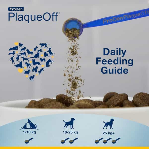 Proden Plaqueoff Powder Supports Normal | Healthy Teeth | Gums & Breath Odour In Dogs & Cats 40 Gm