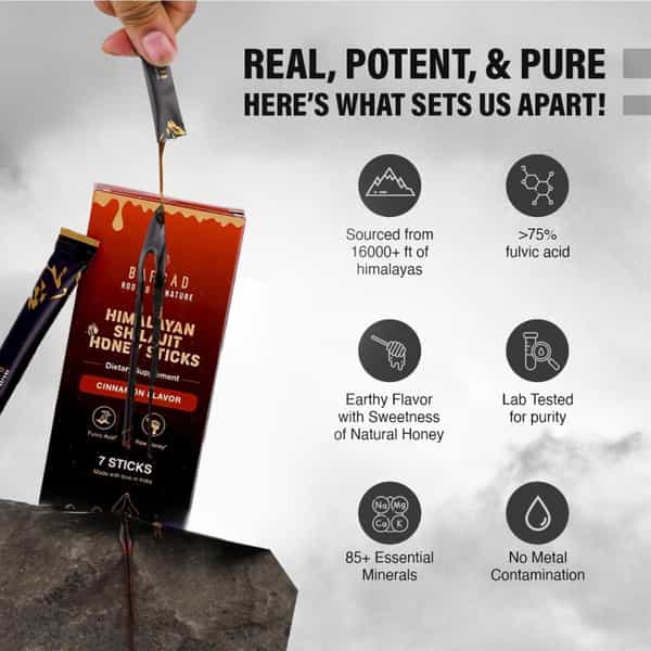 Bargad Himalayan Shilajit Honey Sticks - Cinnamon Flavor | Pure Raw Honey With Fulvic Acid - 7N