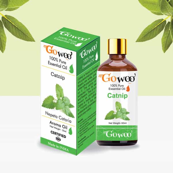 Go Woo 100% Pure Catnip Oil Virgin & Undiluted 50 Ml
