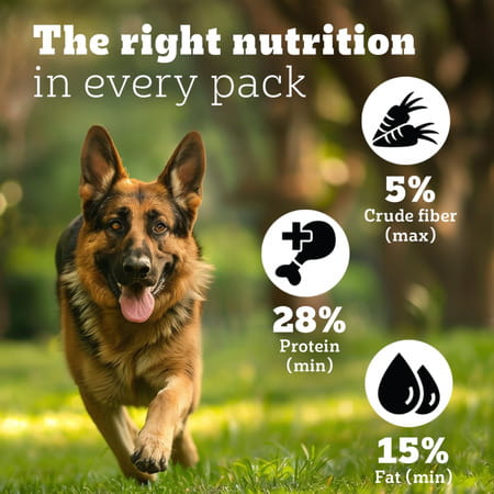 Pedigree Pro Adult Large Breed | 10 Kg Dry Dog Food | Vet Trusted Brand (18 Months Onwards)