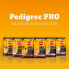 Pedigree Pro Adult Large Breed | 10 Kg Dry Dog Food | Vet Trusted Brand (18 Months Onwards)