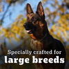 Pedigree Pro Adult Large Breed | 10 Kg Dry Dog Food | Vet Trusted Brand (18 Months Onwards)