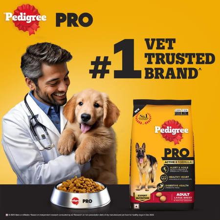 Pedigree Pro Adult Large Breed | 10 Kg Dry Dog Food | Vet Trusted Brand (18 Months Onwards)