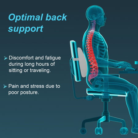 Tynor Lumbo Back Rest Urbane | Blue | Universal Size | 1 Unit