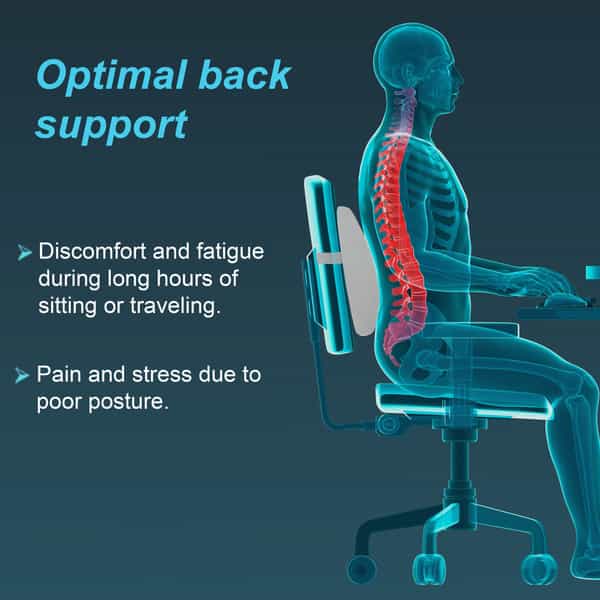 Tynor Lumbo Back Rest Urbane | Blue | Universal Size | 1 Unit
