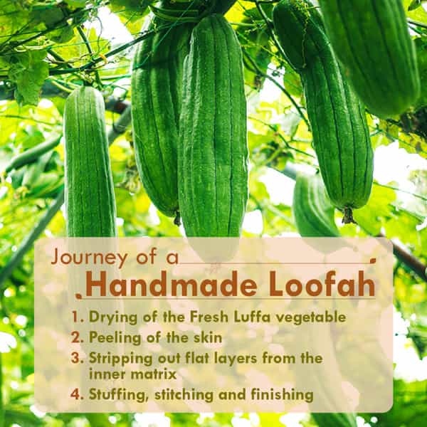 Nat Habit Natural Sun Dried Bath Loofah Sustainable Handmade Pack Of 2